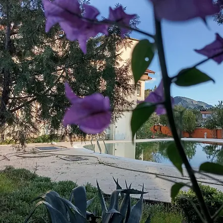 Soni Dalyan Hotel *